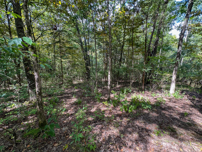Listing Image 39