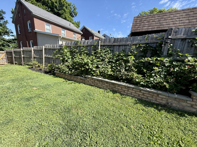 Listing Image 112