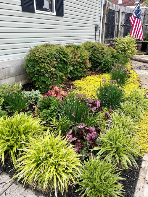 Listing Image 113