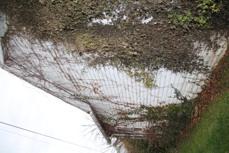 Listing Image 70