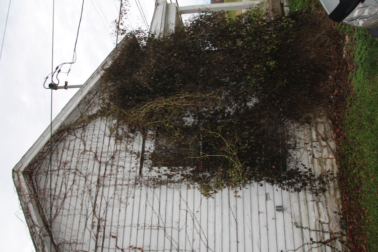 Listing Image 74