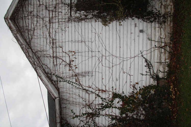 Listing Image 75