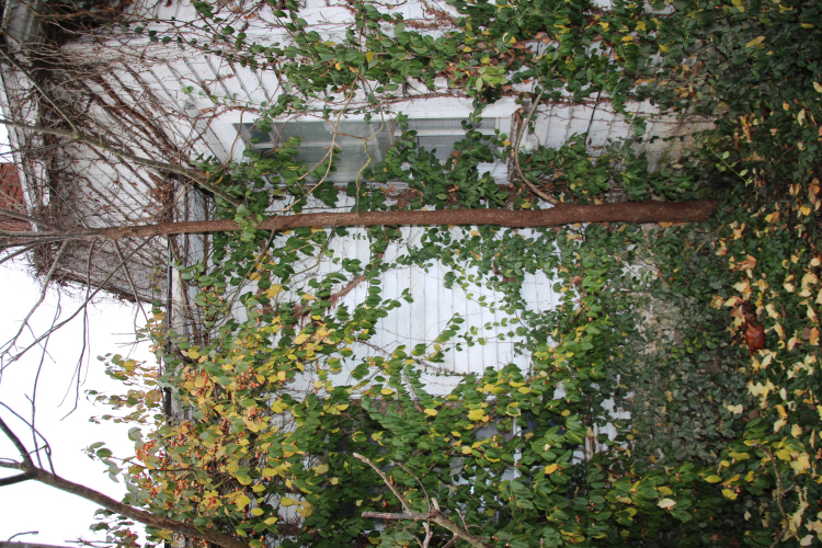 Listing Image 78