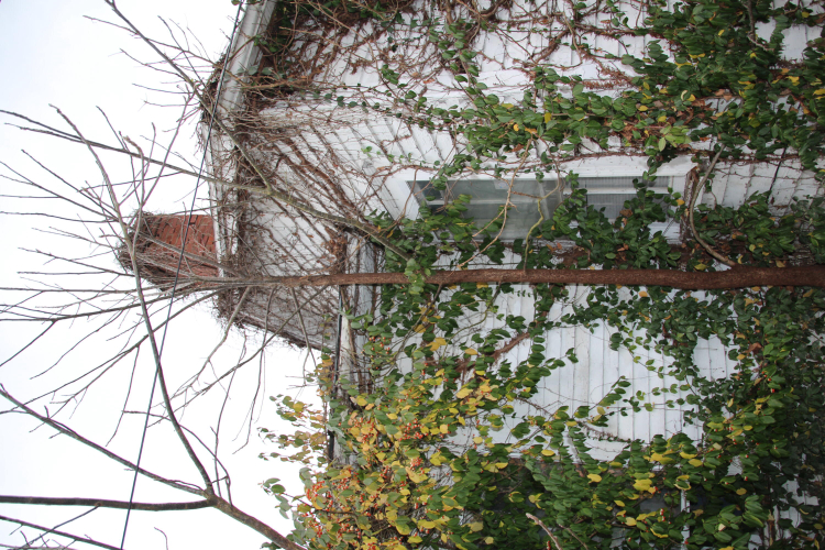 Listing Image 79