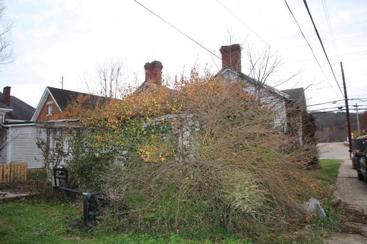 Listing Image 82