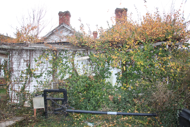 Listing Image 84
