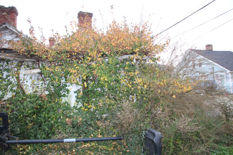 Listing Image 85