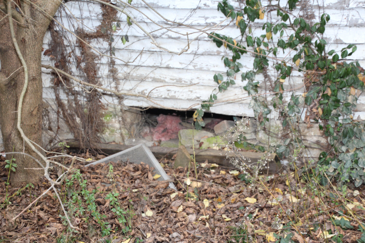 Listing Image 89