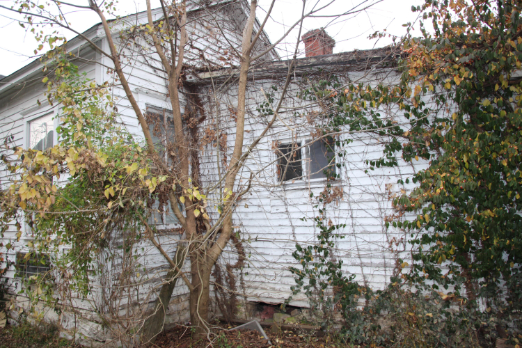Listing Image 90