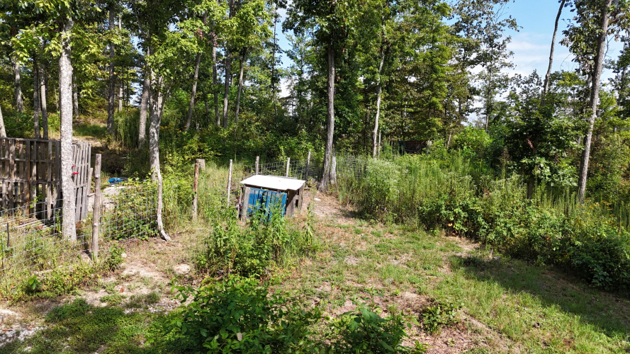 Listing Image 24