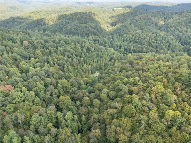 Listing Image 18