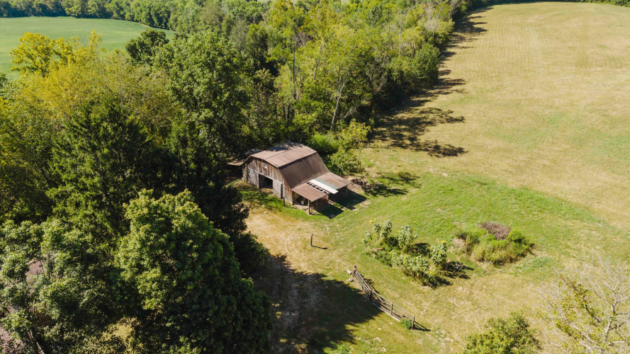 Listing Image 12
