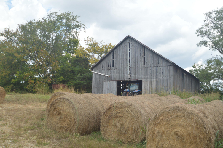 Listing Image 19