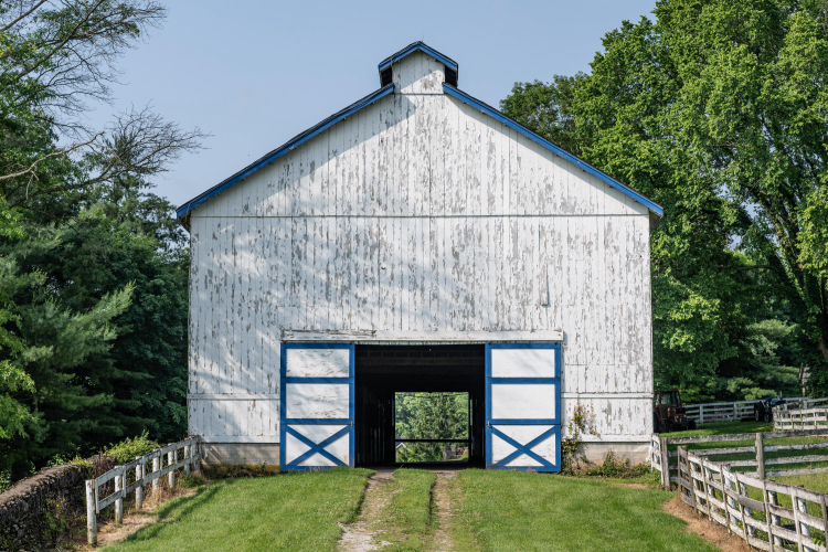 Listing Image 23