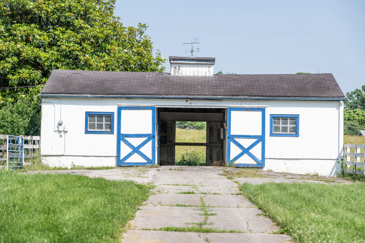 Listing Image 22