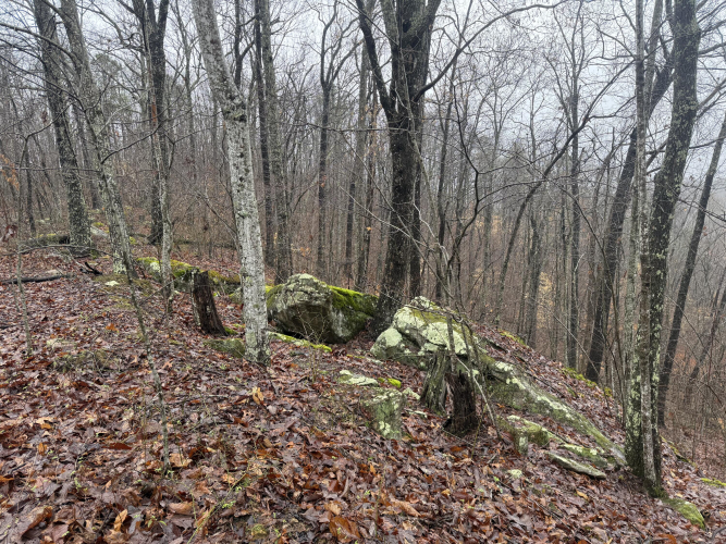 Listing Image 16