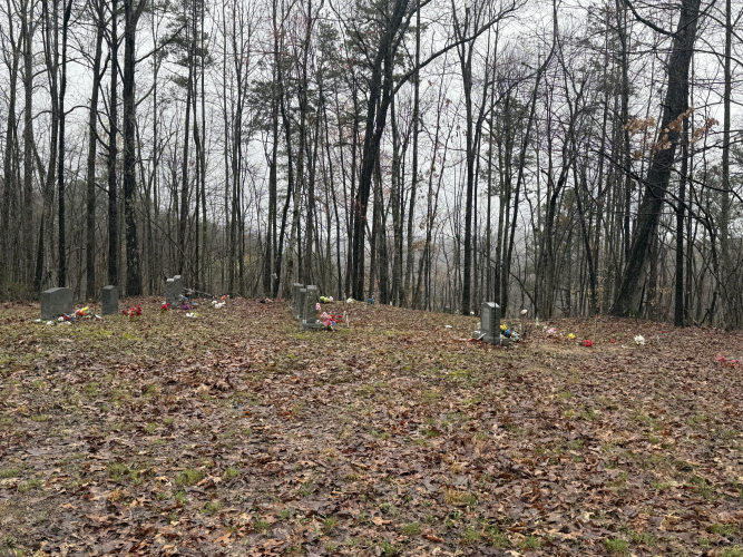 Listing Image 17