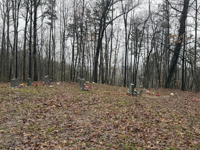 Listing Image 18
