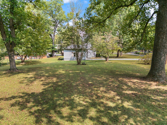 Listing Image 64
