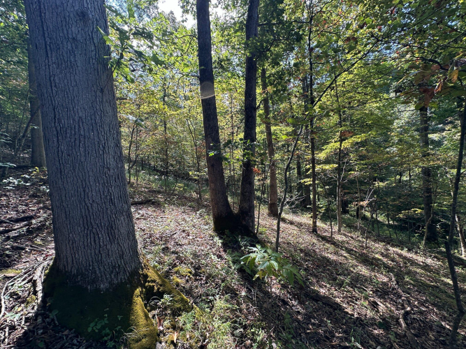 Listing Image 17
