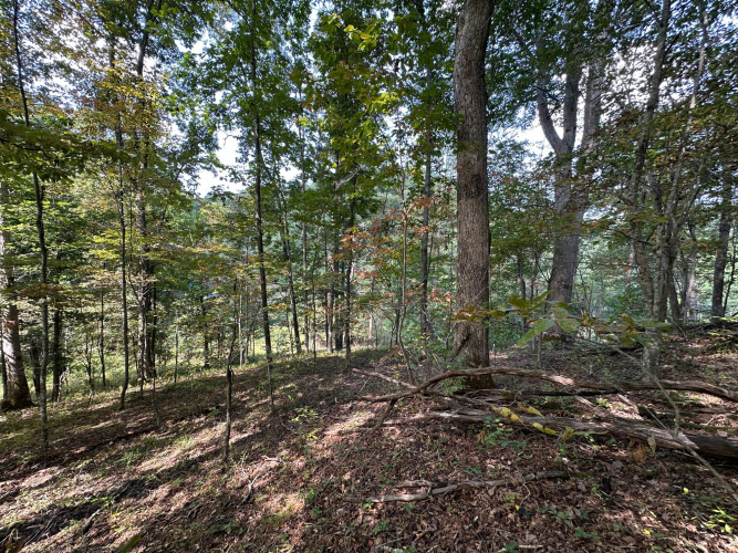 Listing Image 22