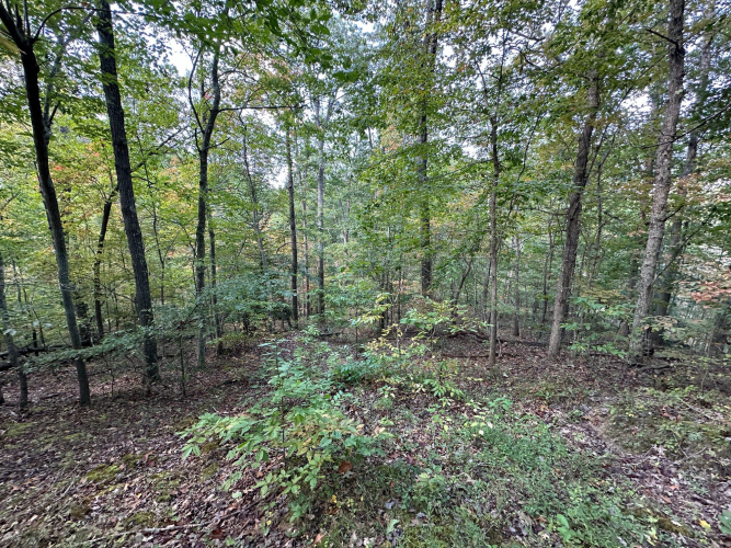 Listing Image 24