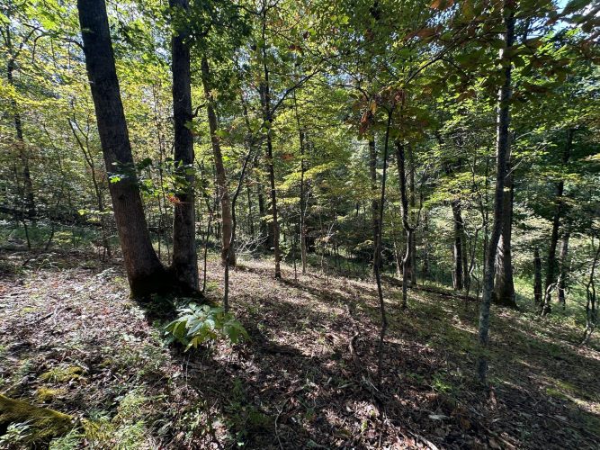 Listing Image 25