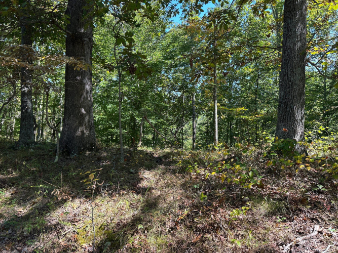 Listing Image 28