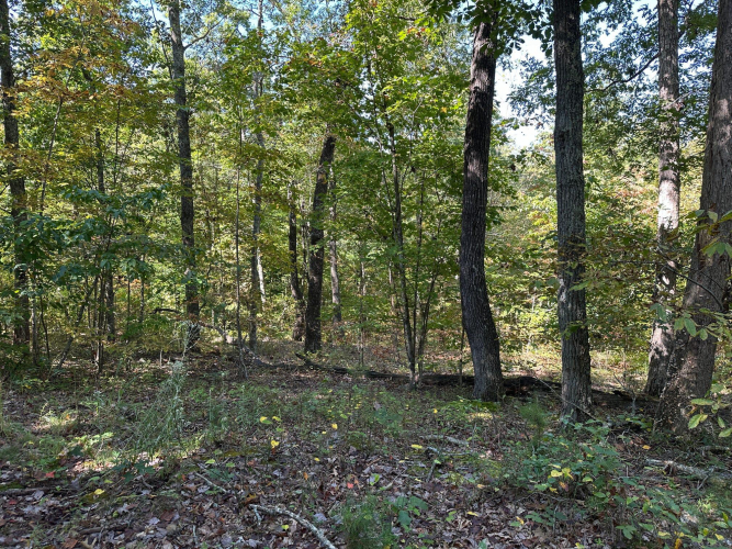 Listing Image 31
