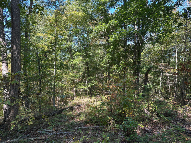 Listing Image 33