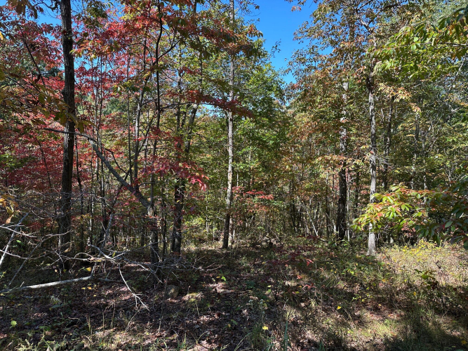 Listing Image 34
