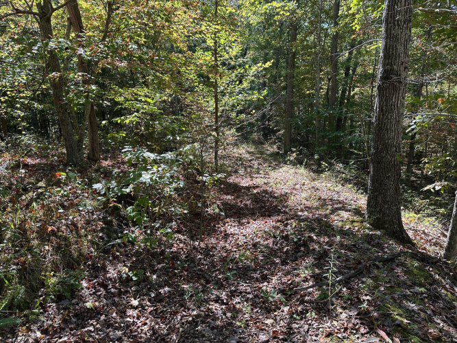 Listing Image 36