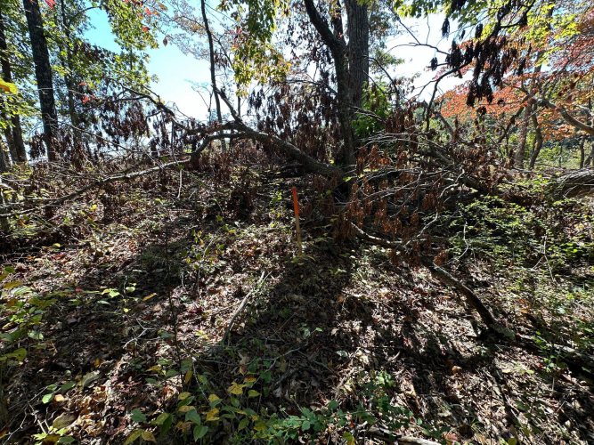 Listing Image 38