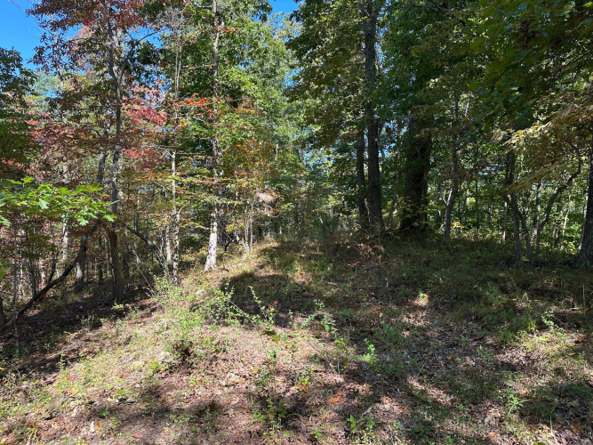 Listing Image 40