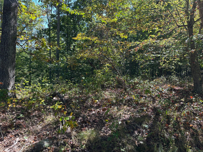 Listing Image 41