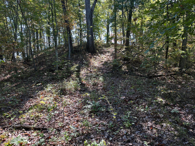 Listing Image 42