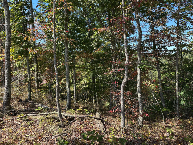 Listing Image 43
