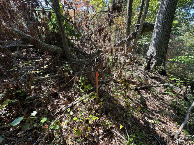 Listing Image 47