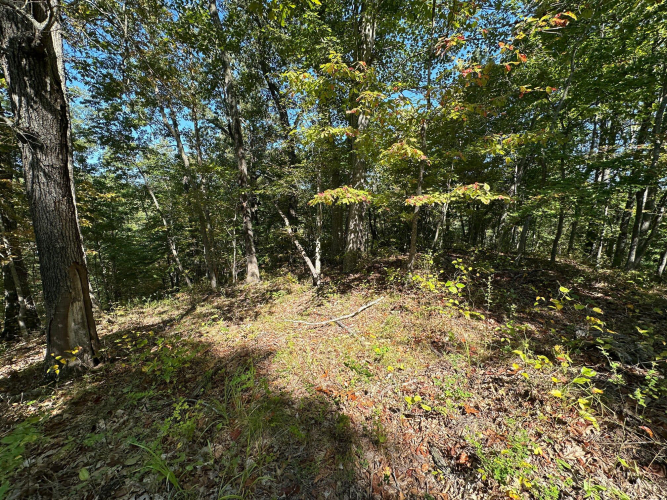 Listing Image 48