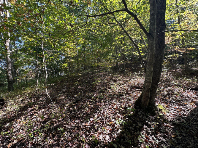 Listing Image 49