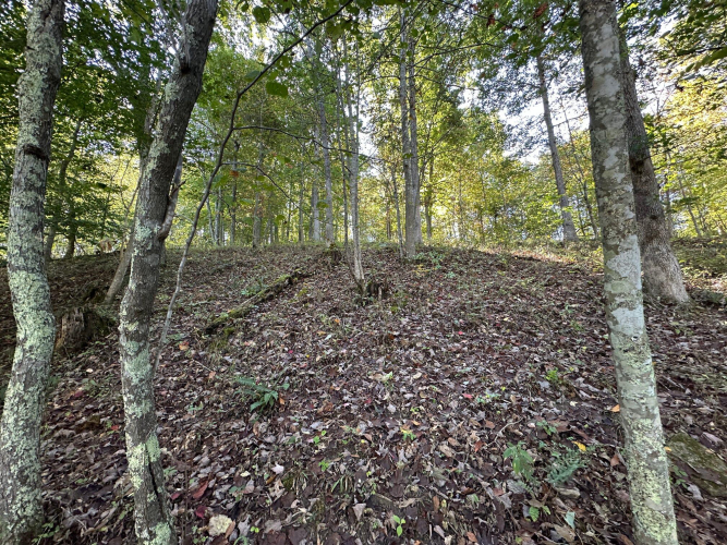 Listing Image 50