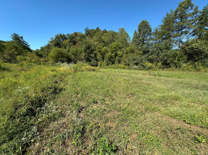 Listing Image 51
