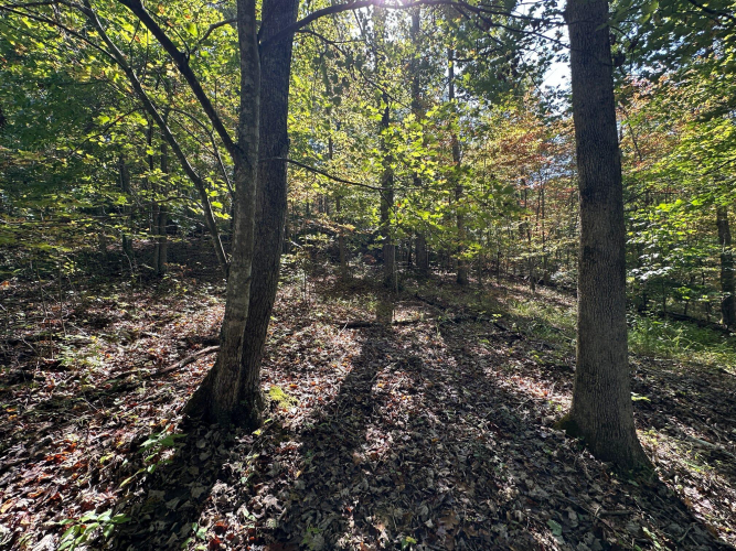 Listing Image 52