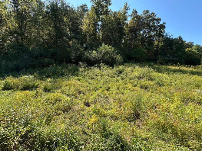 Listing Image 54