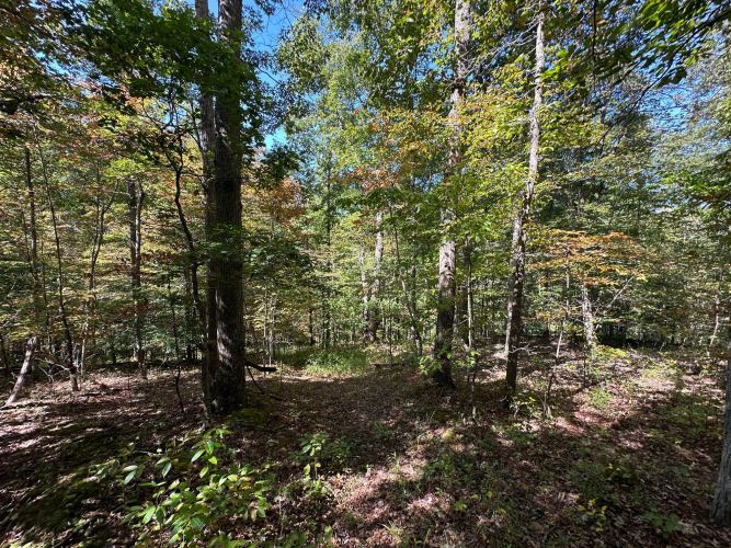 Listing Image 55