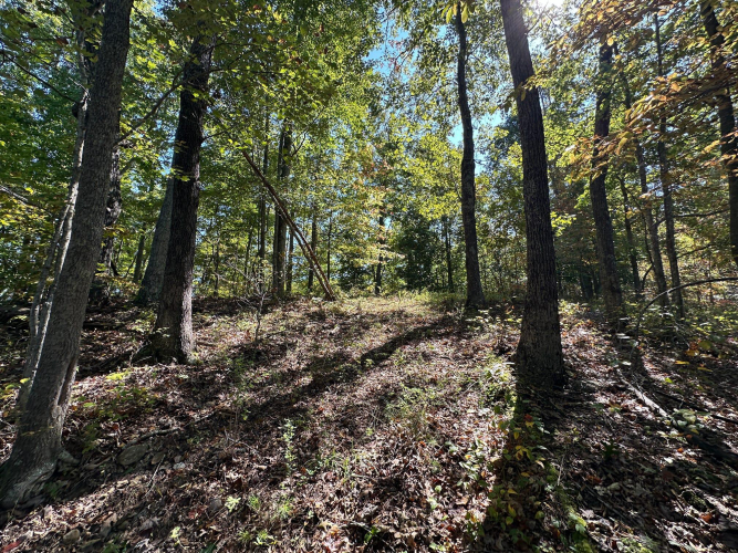 Listing Image 56