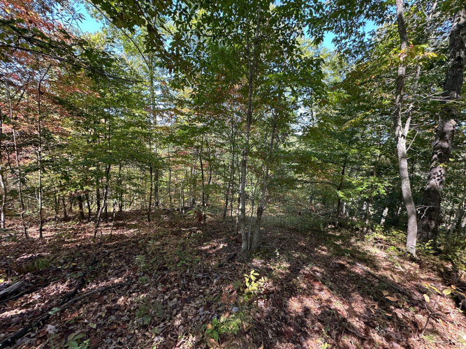 Listing Image 57