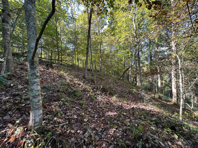 Listing Image 58