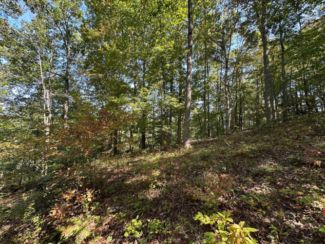 Listing Image 59