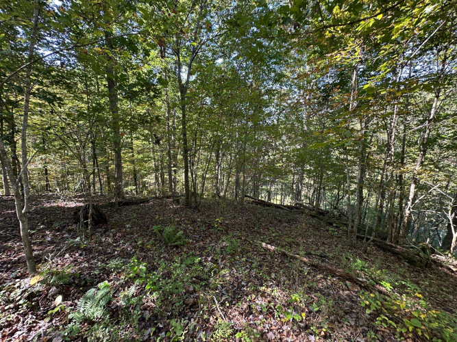 Listing Image 60